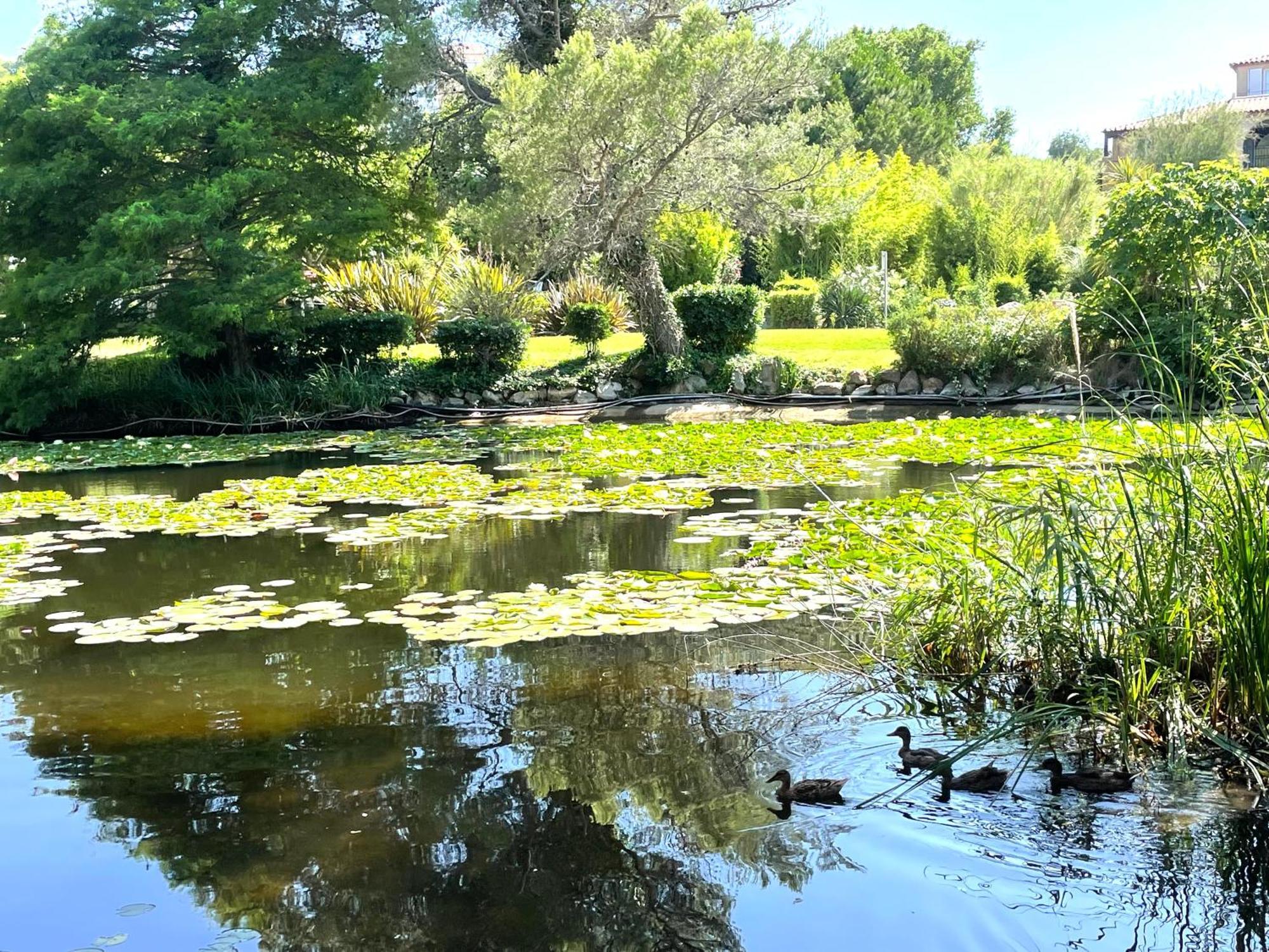 Le Rayon Vert Six-Fours-les-Plages Kültér fotó
